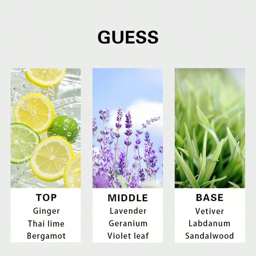 Guess Forever men Eau De Toile - Perfume In Fragrance recensie en prijs