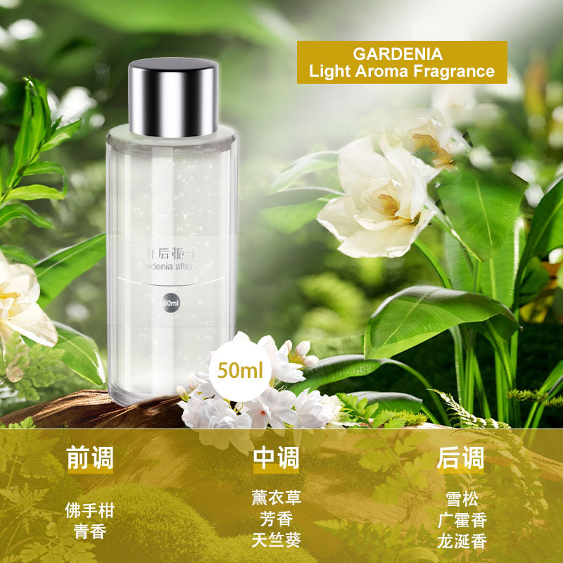 50ml navulling geur voor auto  - Fragrance Perfume Car recensie en prijs